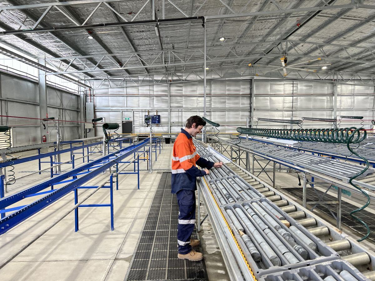 Geologist logging drill core by hand in a modern core shed